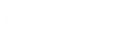 Antmen Studio